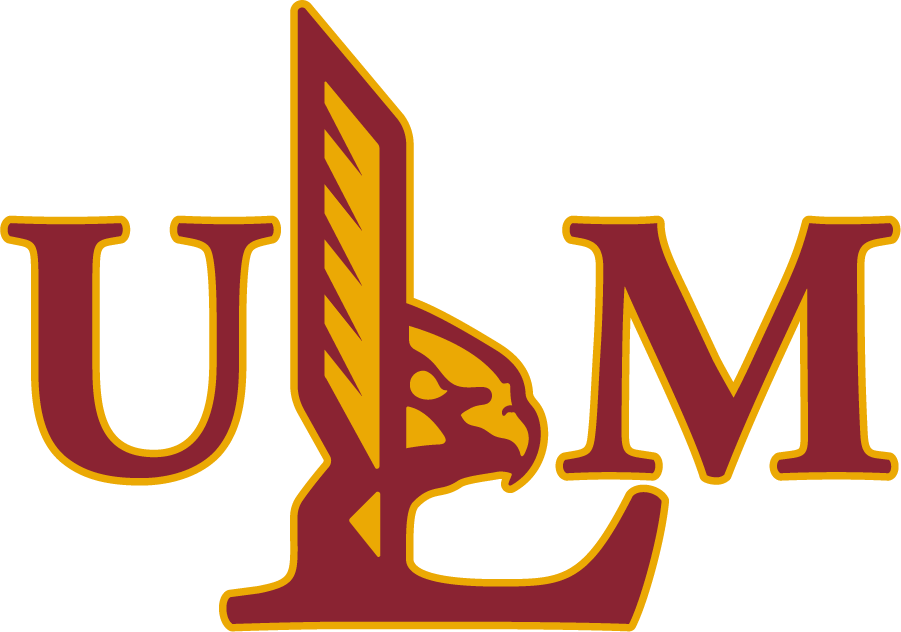 Louisiana-Monroe Warhawks 2018-Pres Primary Logo diy iron on heat transfer